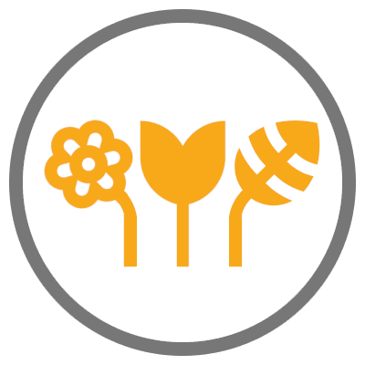 Mindent a fordításról